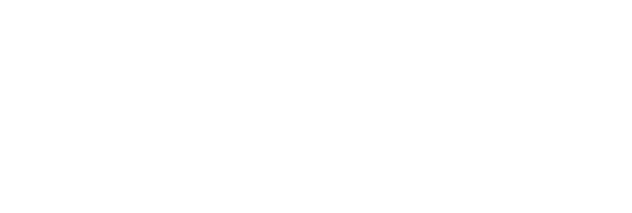 Portale flussi RaDISAN